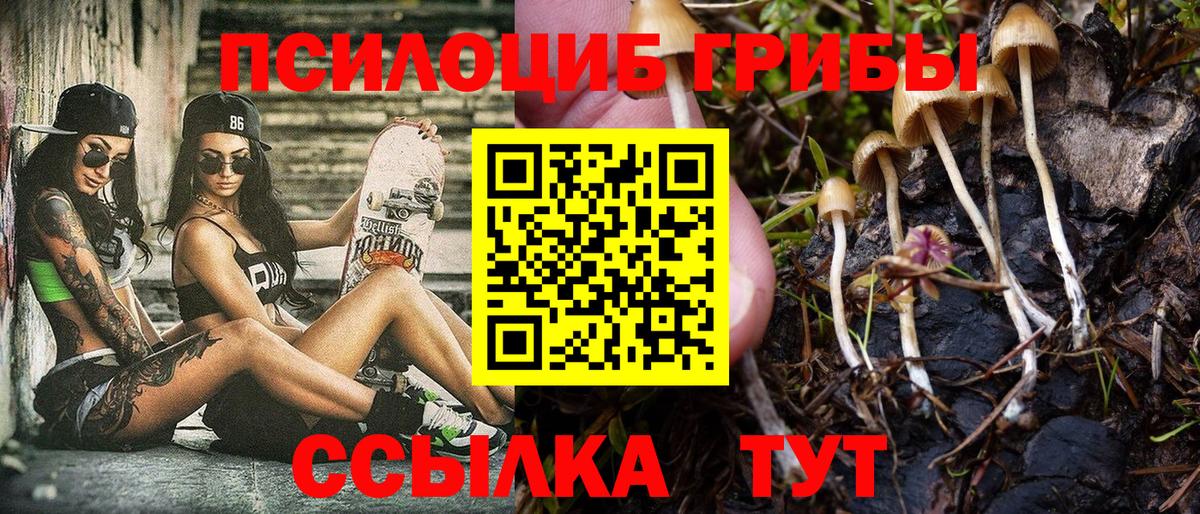 Чайковский  Галлюциногенные грибы MAGIC MUSHROOMS  Вход с VPN 
