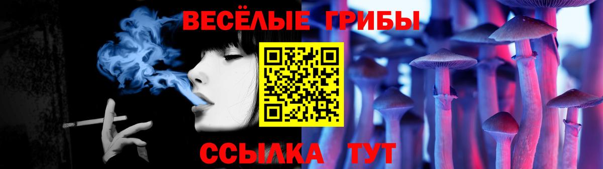 Псилоцибиновые грибы Magic Shrooms Чайковский